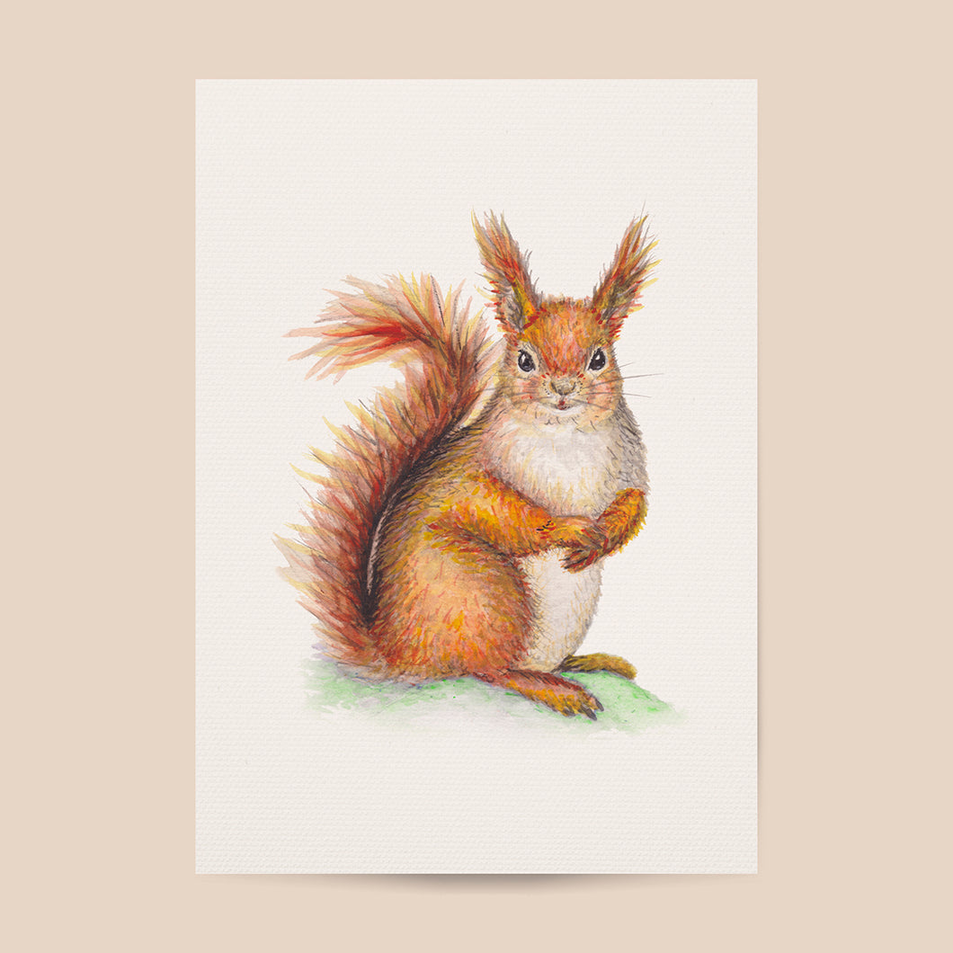Squirrel poster