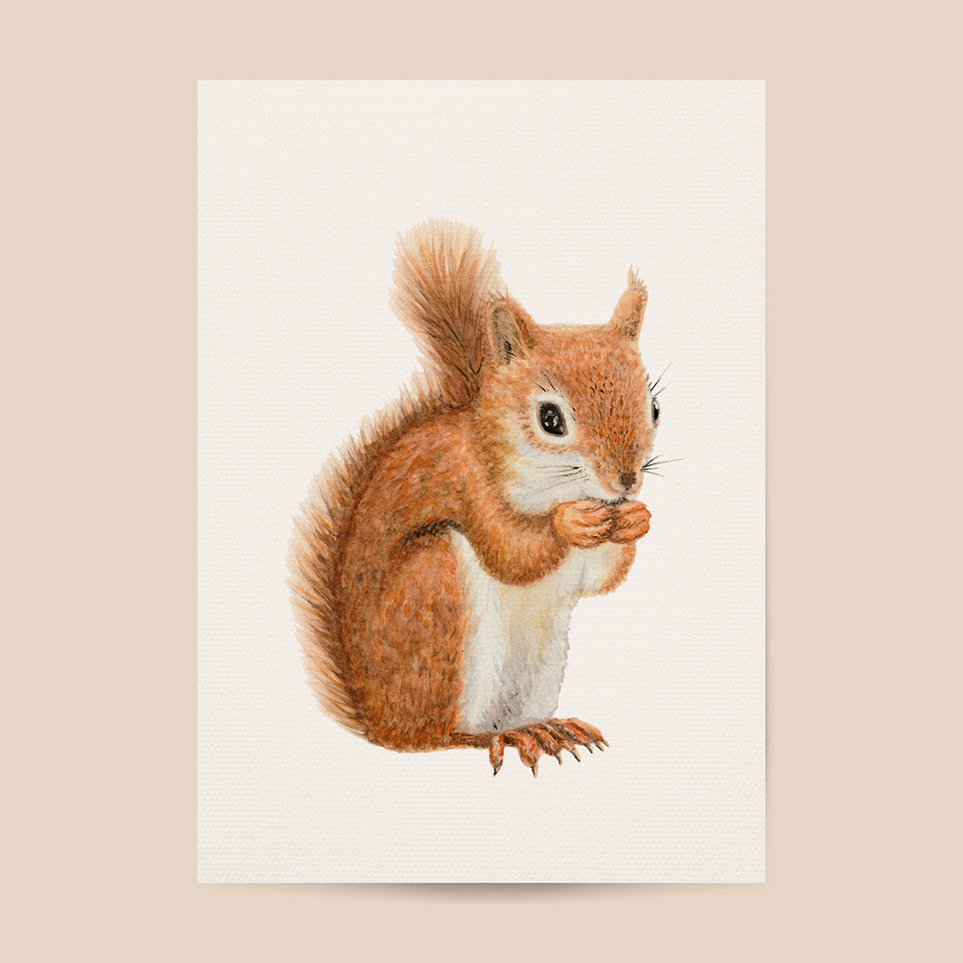Poster eekhoorntje - Art print