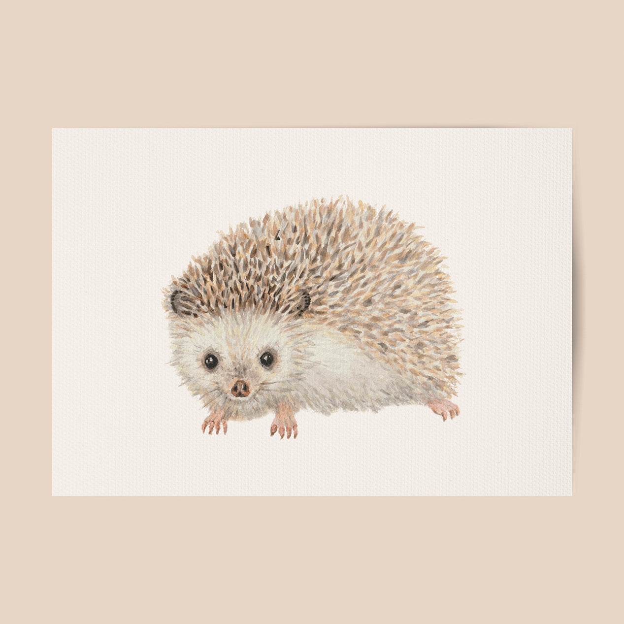 Poster hedgehog - Art print