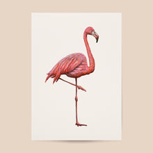 Afbeelding in Gallery-weergave laden, Poster flamingo - Art print
