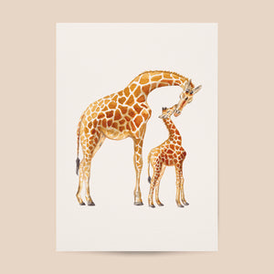 Poster giraffe