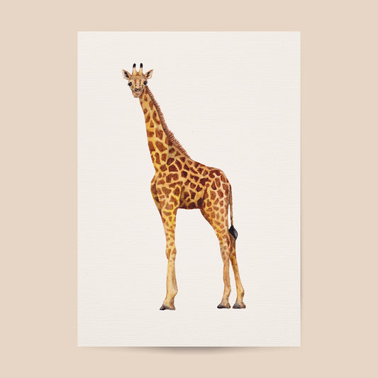 Poster giraffe - Art print