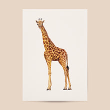 Load image into Gallery viewer, Poster giraffe
