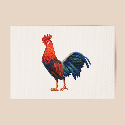 Poster haan - Art print