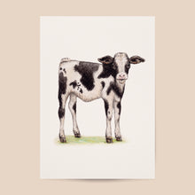 Load image into Gallery viewer, Poster baby calf

