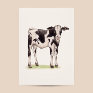 Poster baby calf