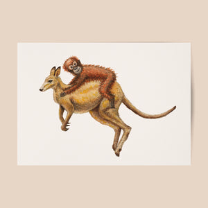 Poster kangaroe en aap
