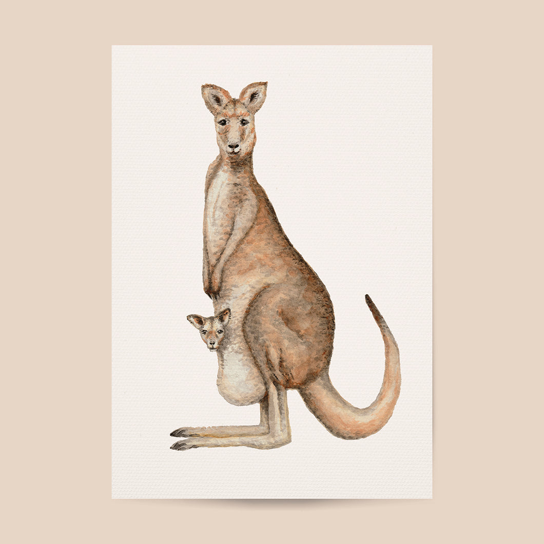 Poster kangoeroe - Art print