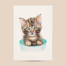 Load image into Gallery viewer, Poster cat
