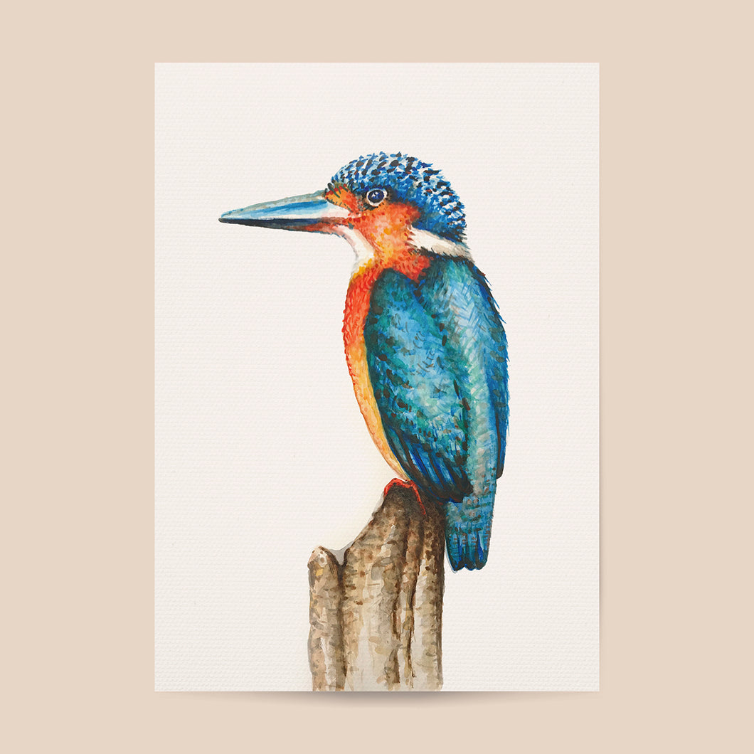 Poster kingfisher