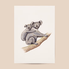 Lade das Bild in den Galerie-Viewer, Poster Koala
