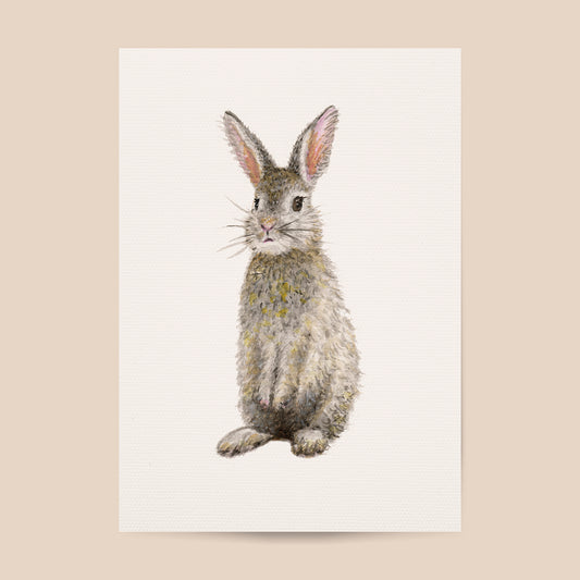 Poster konijn - Art print