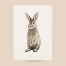 Afbeelding in Gallery-weergave laden, Poster konijn - Art print
