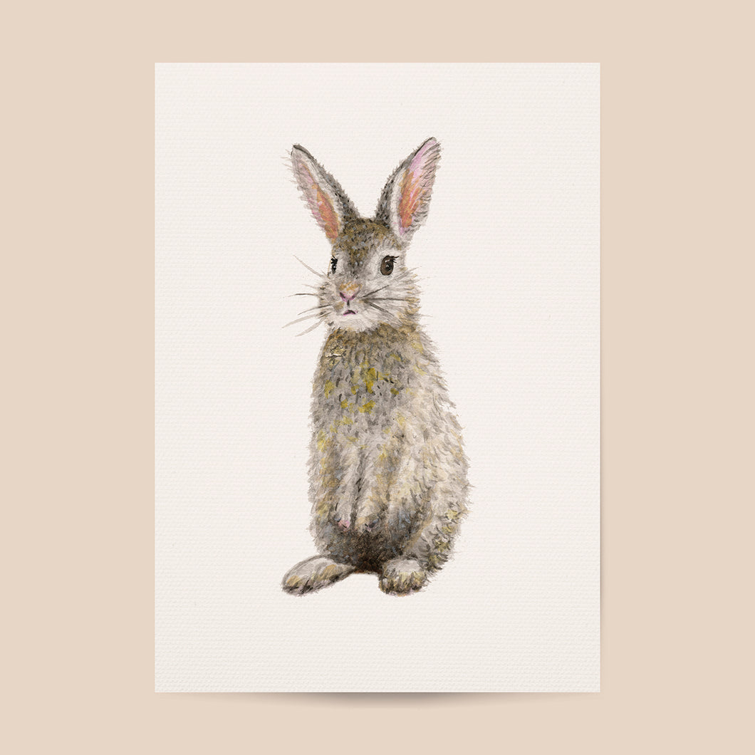 Poster rabbit