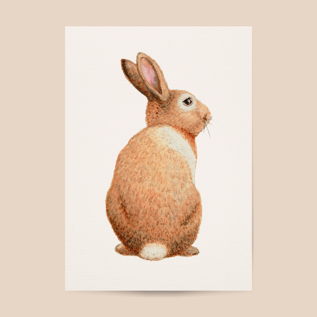 Poster konijn - Art print