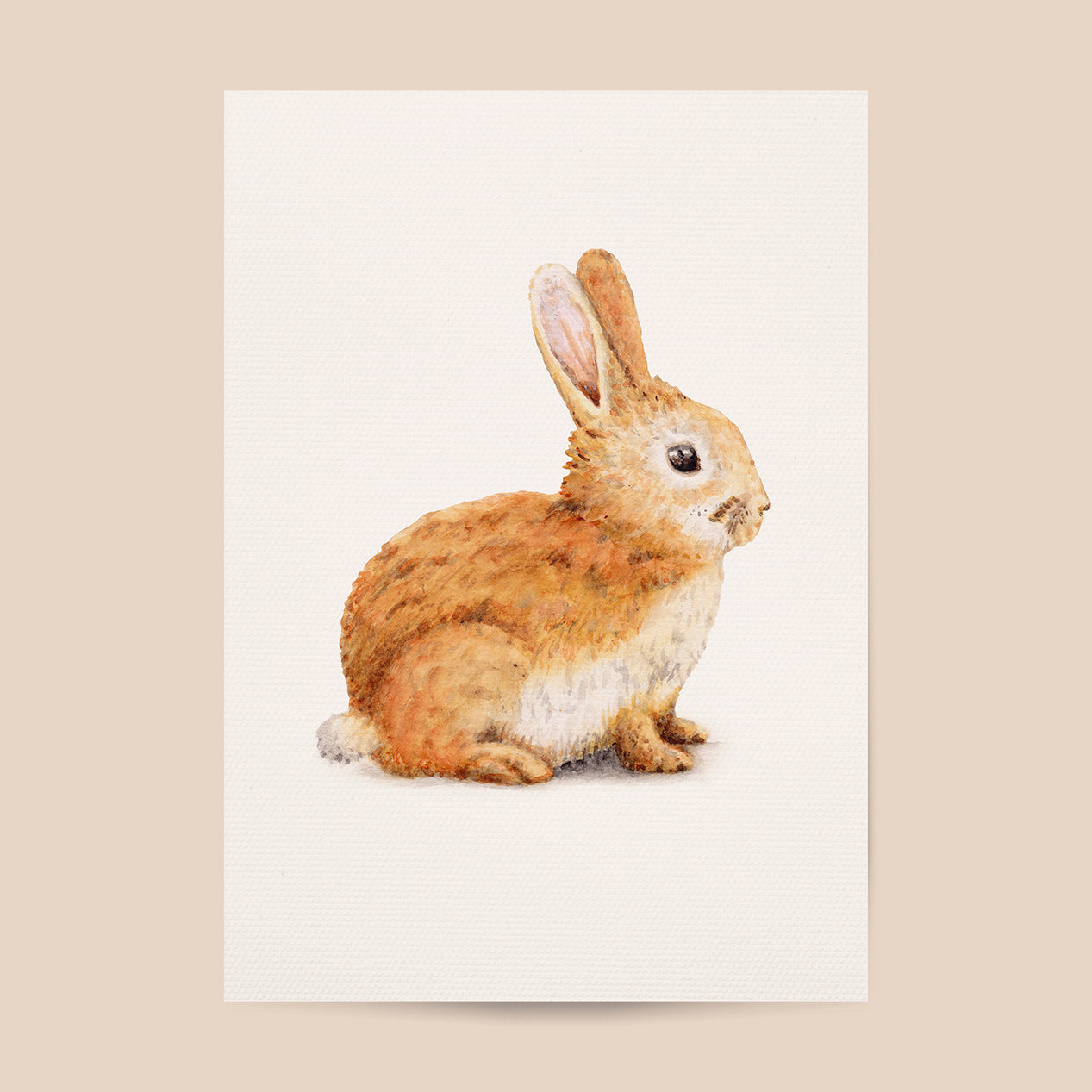Tierposter mit Häschen