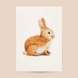 Poster konijntje - Art print