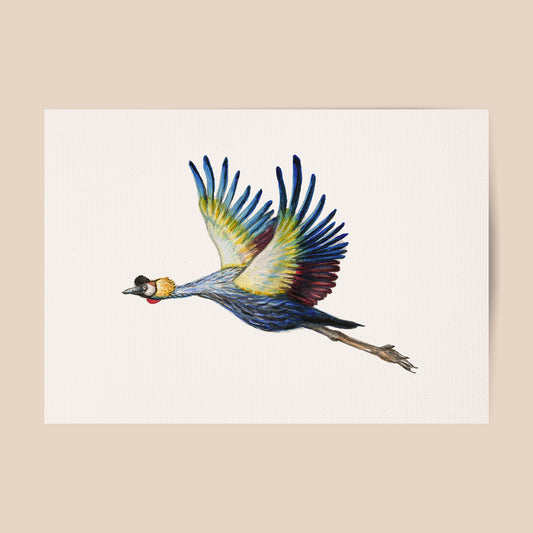 Poster kraanvogel - Art print