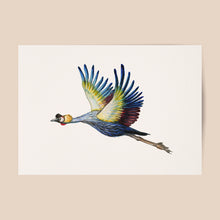 Afbeelding in Gallery-weergave laden, Poster kraanvogel
