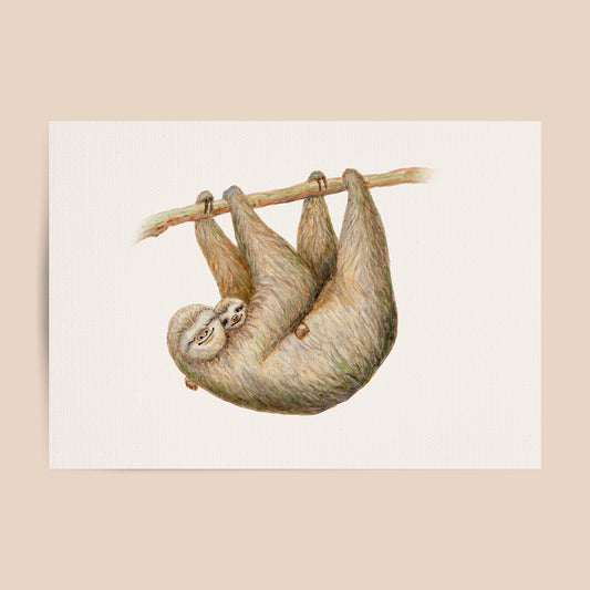 Poster sloth
