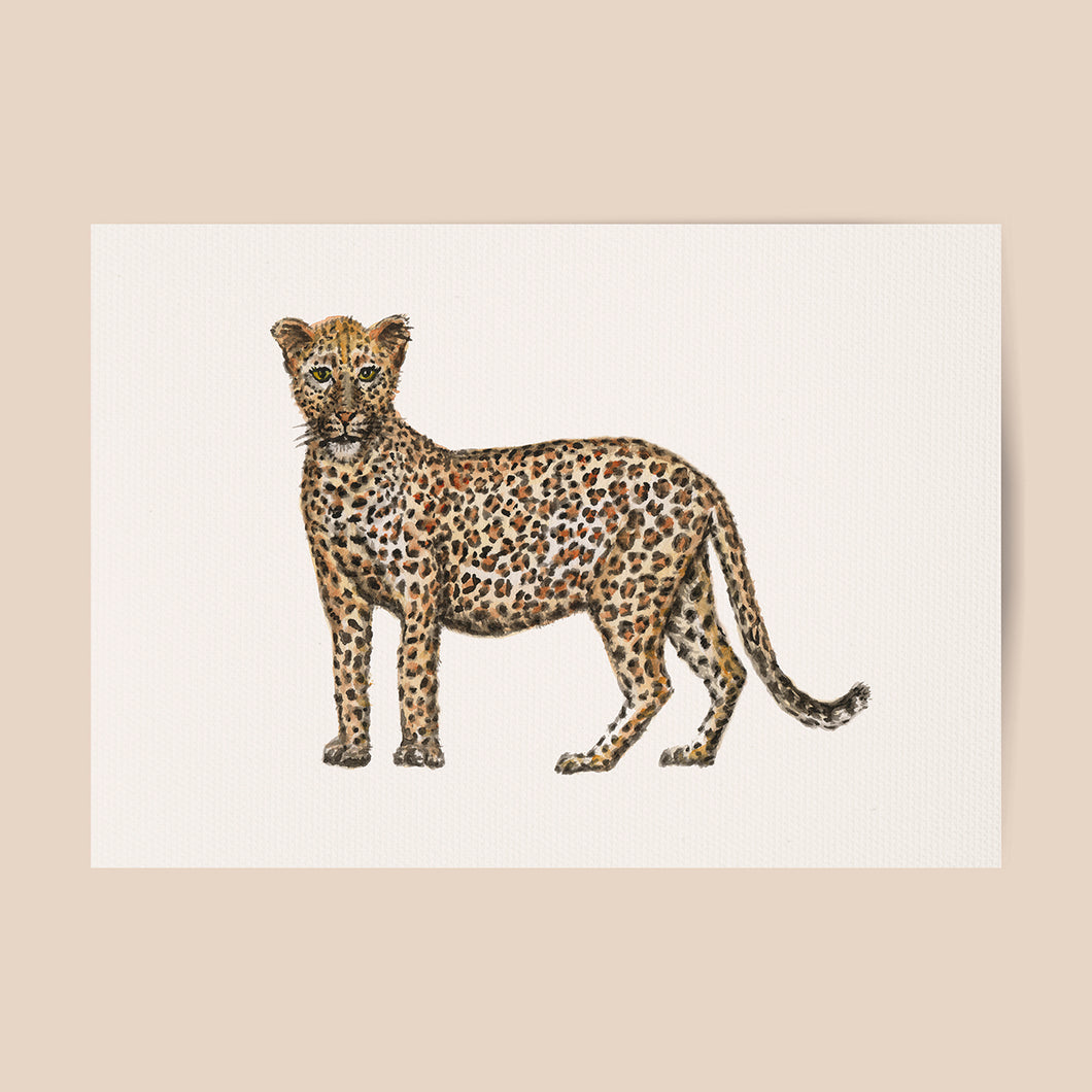 Poster Leopard