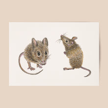 Load image into Gallery viewer, Poster mice
