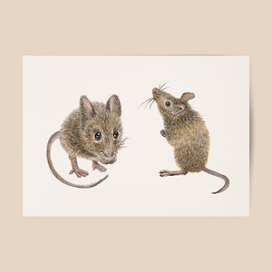 Poster mice
