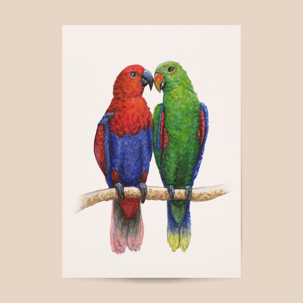 Poster 2 parrots