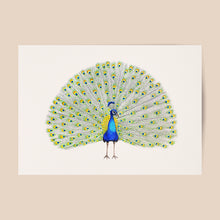 Lade das Bild in den Galerie-Viewer, Poster Pfau
