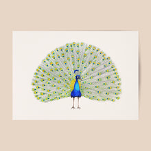 Load image into Gallery viewer, poster peacock
