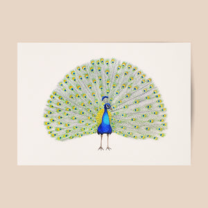 Poster Pfau