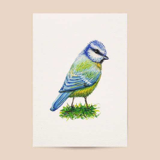 Poster blue tit