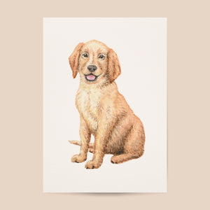 Poster puppy hond - Art print