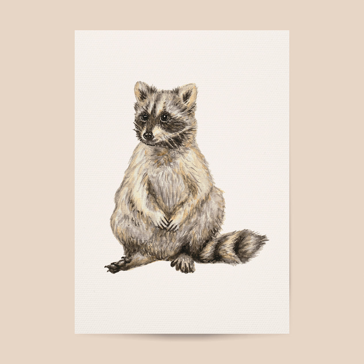 Tierposter mit Waschbär