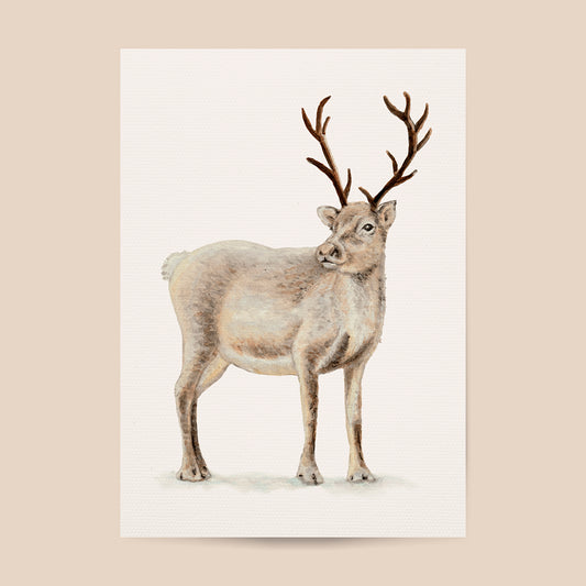 Poster rendier - Art print