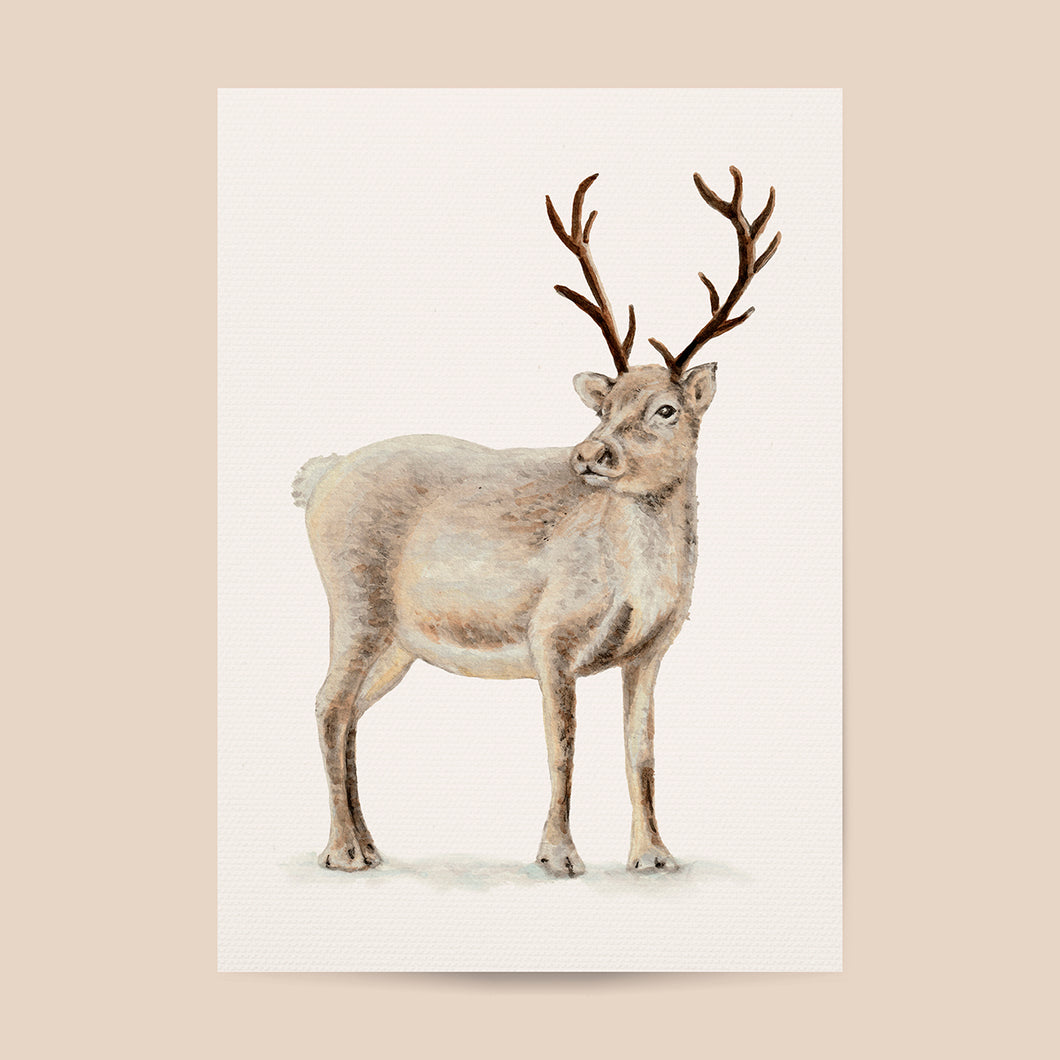 Poster reindeer