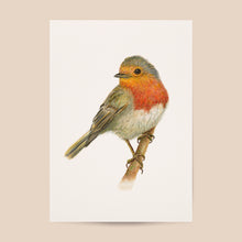 Afbeelding in Gallery-weergave laden, Poster roodborstje - Art print
