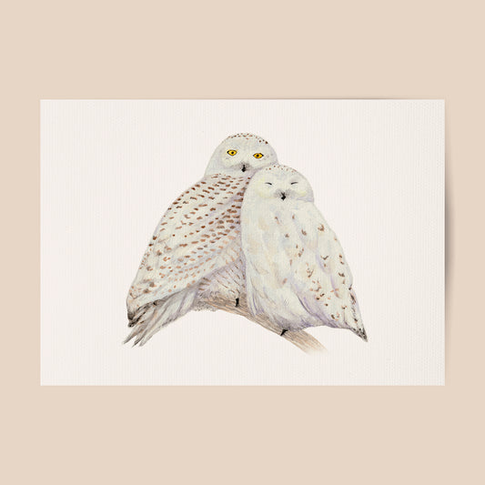 Poster sneeuwuilen - Art print