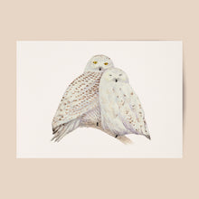 Load image into Gallery viewer, Poster snowy owls 
