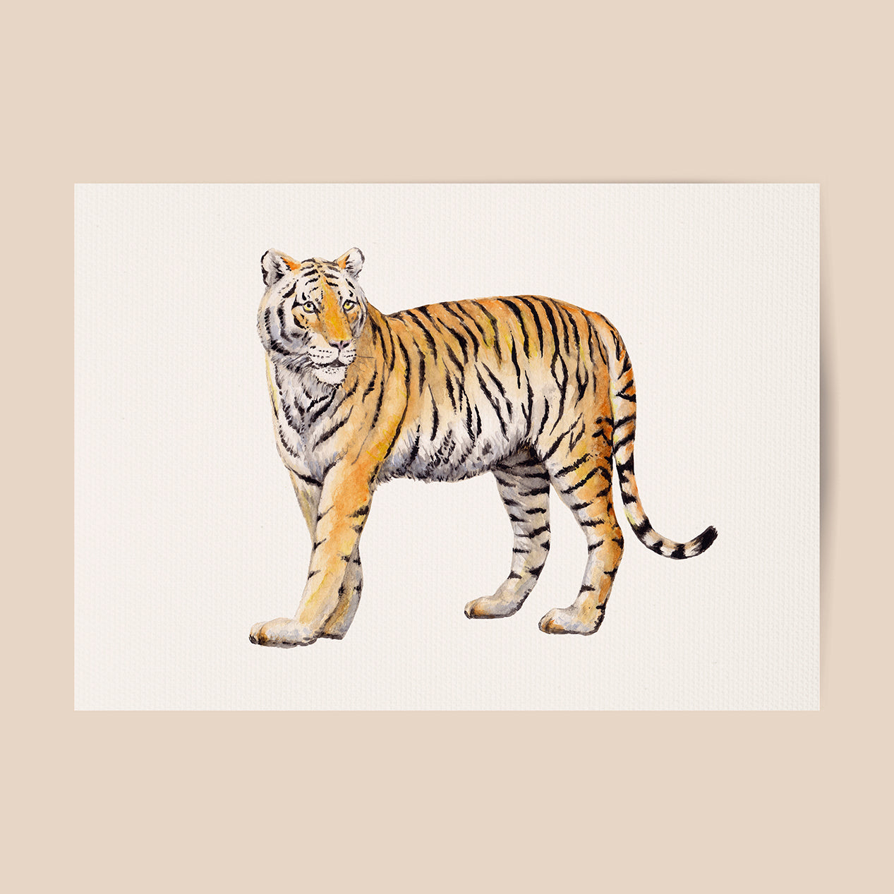 Poster tijger - Art print
