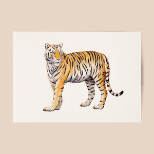 Poster tiger