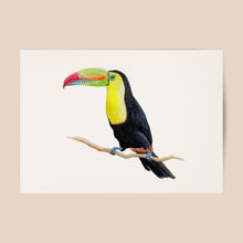 Load image into Gallery viewer, Poster toucan
