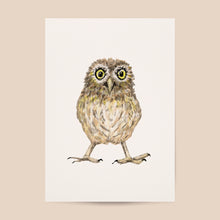 Load image into Gallery viewer, Poster owl
