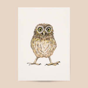 Poster uil - Art print