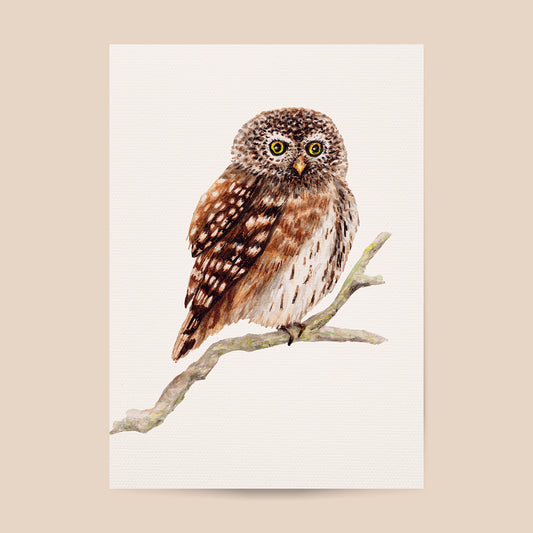Poster uil - Art print