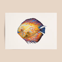 Load image into Gallery viewer, Poster tropical fish blue and yellow
