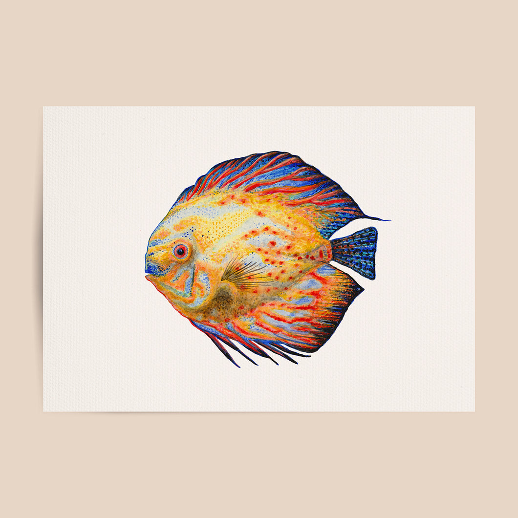 Poster tropical fish blue and yellow