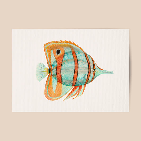 Poster tropical fish blue and orange