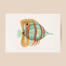 Lade das Bild in den Galerie-Viewer, Poster tropische Fische blau / orange
