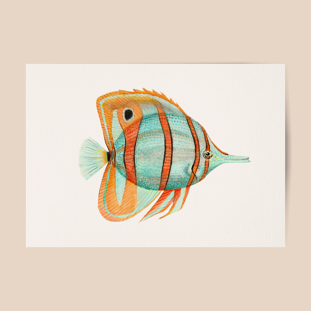 Poster tropische Fische blau / orange